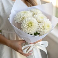 Белые георгины